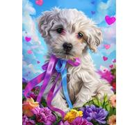 Jalican Peinture Numero Adulte, DIY Peinture Numero Débutants 40x50cm Paint by Numbers Loisirs Créatifs Adultes avec 3 Pinceaux Pour la Décoration de la Maison, Cadeau Homme Femme chien mignon L0-688