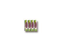 Jamara Jamara140267 1,5 V Orage Supercellulaire alcalines AA Battery Pack (4 pièces)