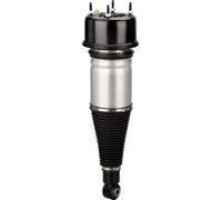 Jambe de suspension pneumatique arrière, longueur 73 cm, poids 8 kg, compatible avec Jaguar XJ