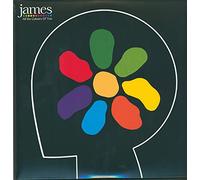 All The Colours Of You Vinyle Coloré