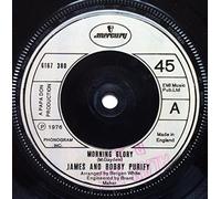 James And Bobby Purify - Morning Glory 7 Inch (7" Vinyl 45) UK Mercury 1976