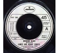 James And Bobby Purify* - Morning Glory / Turning Back The Pages - James And Bobby Purify* 7" 45