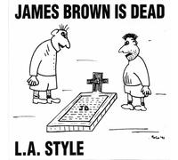 James Brown Is Dead (Us Maxi Cd)