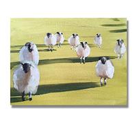 James Coates - Mouton dans un champ - Poster mural 40,6 x 30,5 cm (A3) Shadows