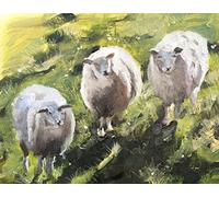 James Coates - Poster mural imprimé mouton dans un champ 40,6 x 30,5 cm (A3) trois moutons