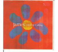 Destiny Calling