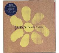 James - Destiny Calling [Import]
