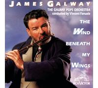 James Galway – Wind Beneath My Wings