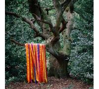 The Animal Spirits – Integral