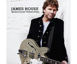 James House - Broken Glass Twisted Steel
