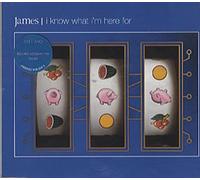 James - I Know What I'm Here for [Import]