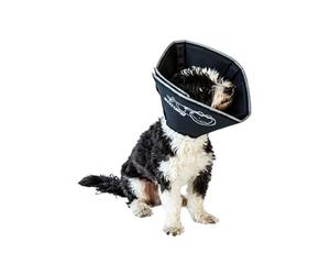 James Marketing - Cône Comfy - Grande Taille - 25 x 33 cm