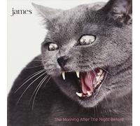 James - Morning After The Night Before