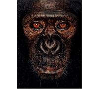James & Other Apes