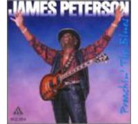 James Peterson - Preachin The Blues