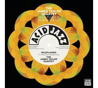 James Taylor Quartet - James Taylor Quartet: Wildflower / Guiding Light [Winyl]