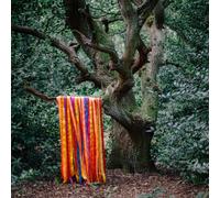 JAMES/THE ANIMAL SPIRITS HOLDEN - THE ANIMAL SPIRITS CD NEUF