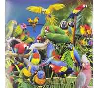 Jameszoo - Guanyin Psittacines (10") [Import]