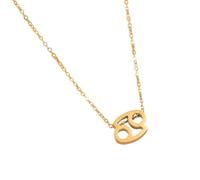 JAMNGHB Collier élégant en acier avec pendentif constellations avec symbole de lettre, douze signes astrologiques, clavicules, taille unique, Comme décrit, Comme décrit.