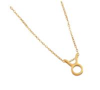 JAMNGHB Collier élégant en acier avec pendentif constellations avec symbole de lettre, douze signes astrologiques, clavicules, taille unique, Comme décrit, Comme décrit.