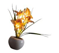 JAMNGHB Veilleuse délicate rechargeable en forme de phalaenopsis avec batterie intégrée à intensité variable pour décoration de chambre à coucher confortable, lampe en céramique papillon fleur