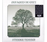 Jan Dukes de Grey - Strange Terrain [Import]