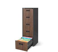 Jan Nowak Armoire pour Dossiers Suspendus Métallique avec 5 Tiroirs Revêtement en Poudre Tôle d'acier (Anthracite/Imitation Bois)