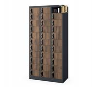 Jan Nowak Armoire Vestiaire 3B11A Casier Metallique pour Objets de Valeur 33 Compartiments Revêtement en Poudre 185 cm x 90 cm x 45 cm (Anthracite-Bois)