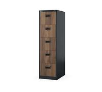 Jan Nowak Classeur Métal 5 Tiroirs pour Dossiers Suspendus Pro 162x46x62 cm