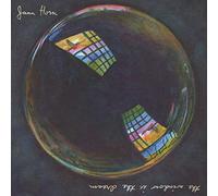 The Window Is The Dream - Vinyle 33 Tours
