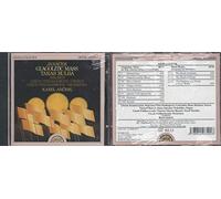 Janacek: Messe Glagolitique, Taras Bulba