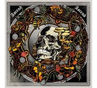 Janaka Stucky - Ascend Ascend: Live In Seattle With Lori Goldston [Vinyl Lp]