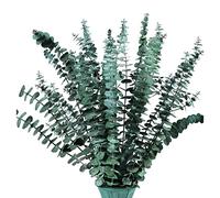 Janasiba 16 Branches D'Eucalyptus SéChéEs ConservéEs, Plante D'Eucalyptus FraîChe de 17 Pouces pour la Douche, VéRitable Bouquet D'Eucalyptus pour Le Remplissage de Vase