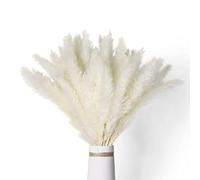 Janasiba 40 PièCes SéRies Herbe de Pampa Blanche SéChéE 45 CM Moelleux et Oscillant Bricolage Boho Plante pour Mariage Arrangements de Fleurs DéCor