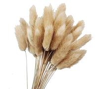 Janasiba 50Pcs Naturelles Couleurs Crues Fleurs SéChéEs VéRitable Bouquet de Fleurs pour DéCoration de Mariage Queue de Lapin Herbe Grappes