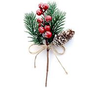 Janasiba Bâtonnets de baies rouges Branches de sapin à feuilles persistantes de Noël 8 pièces Sapin Cône Branche Couronne Pick