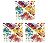 Janasiba Lot de 432 fleurs séchées naturelles pressées pour résine, fleurs séchées en vrac Kit naturel pour bougie, résine époxy, art DIY
