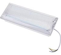 Jandei Luminaire d'urgence 3 W LED mural et plafond