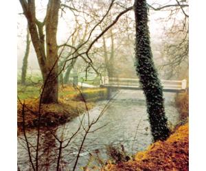 Jandek - Manhattan Tuesday: Afternoon of Insensitivity