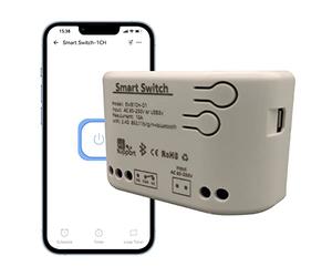 Jane Eyre 1 Way WiFi Smart Micro Switch/Relais autobloquant USB 5V / AC85V-250V Entrée, eWeLink APP Contrôle Bluetooth, Compatible avec Alexa Google Home