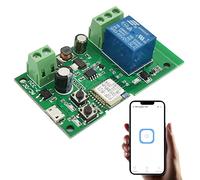 Jane Eyre Module de commutation intelligent à relais momentané/à verrouillage WIFI pour contrôle d'accès, contrôle de porte de garage bricolage, compatible avec Alexa Google Assistant, eWelink APP