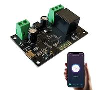Jane Eyre Module de relais de commutateur intelligent sans fil WiFi Module de commutateur autobloquant instantané DIY Smart Home Compatible avec l'application Tuya/Smart Life (1CH)