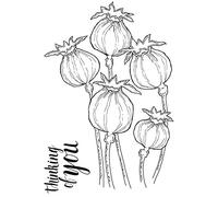 Jane Gill Tampon magique transparent Motif têtes de coquelicot 10 x 13,5 cm