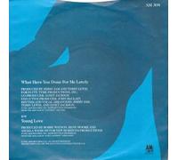 Janet Jackson - Janet Jackson What Have You Done For Me Lately UK 45 7" single +Picture Sleeve