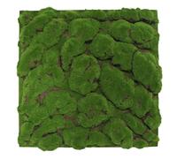 JANGAL - Modular Wall - Panneau Acoustique Mural - 520 x 520 x 30 mm - Mousse verte forestière à grosses boules - Panneau végétal