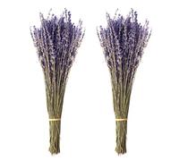 Jangostor 100 g de bouquets de lavande séchées, 43 cm, fleurs de lavande séchées naturelles, pour la maison, le salon, la photographie de mariage, les loisirs créatifs