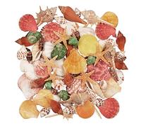 Jangostor 100 PCS Coquillages Mixte Océan Plage Coquillages,Différentes Tailles Coquillages Colorés Naturels Étoile de mer Polyester Parfait pour Les remplisseurs de Vase