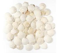 Jangostor 48 Pièces Coquillages de pétoncles Coquillages naturels, 3cm - 5cm Blanc Coquille de mer Petit Coquillage pour Mariage décoration Plage thème fête, réservoir de Poissons et Vase Remplissage