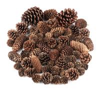 Jangostor Lot de 60 pommes de pin - Emballage en vrac naturel, grandes, moyennes et mini - Décorations rustiques en forme de pommes de pin pour table, sapin de Noël, travaux manuels, cadeaux