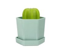 JANKOW Mini brosse à cactus, brosse de nettoyage en forme de cactu avec plateau d'égouttement et 3 brosses de rechange, pour nettoyer la vaisselle, les poêles, les casseroles, l'évier, le comptoir (1